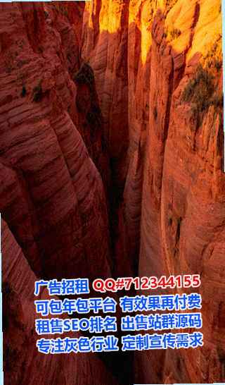 尚志借腹生子生物科技有限公司